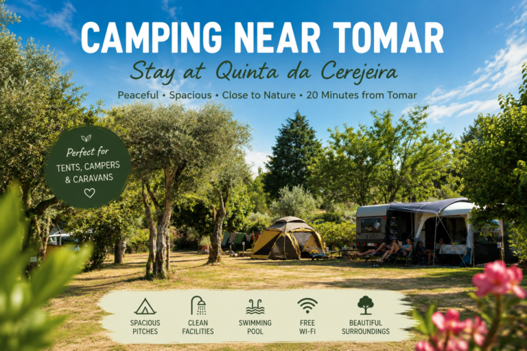 Campsite near Tomar